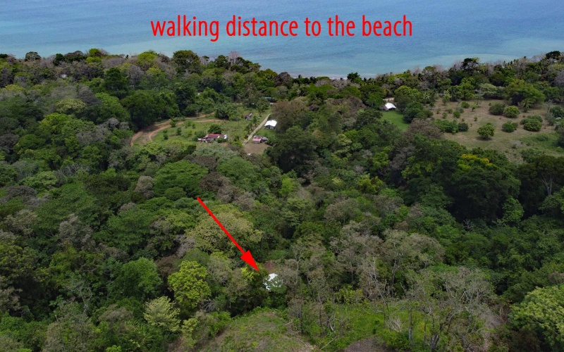 Pavones real estate, Properties for sale in Pavones, Pavones Costa Rica, land for sale, Pavones, Pilon, Punta Banco, Jungle land, Beach property, Surf Property