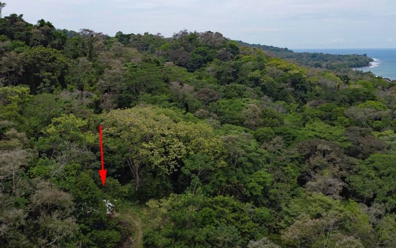 Pavones real estate, Properties for sale in Pavones, Pavones Costa Rica, land for sale, Pavones, Pilon, Punta Banco, Jungle land, Beach property, Surf Property