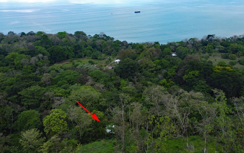 Pavones real estate, Properties for sale in Pavones, Pavones Costa Rica, land for sale, Pavones, Pilon, Punta Banco, Jungle land, Beach property, Surf Property