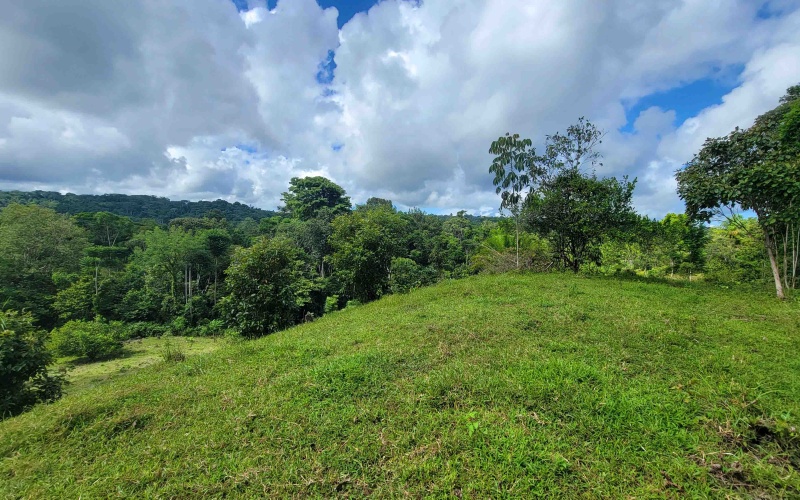 Cuervito land for sale, Pavones real estate, Costa Rica mountain view lot, Altos del Bosque, Pilon surf property, jungle land Costa Rica, buildable lot Pavones, Southern Zone Costa Rica real estate, ocean and mountain lot, off-grid Costa Rica
