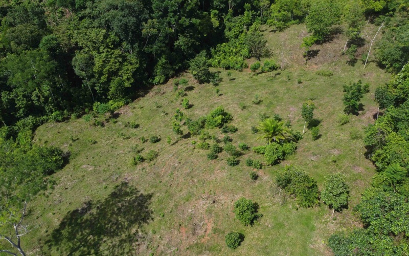 Cuervito land for sale, Pavones real estate, Costa Rica mountain view lot, Altos del Bosque, Pilon surf property, jungle land Costa Rica, buildable lot Pavones, Southern Zone Costa Rica real estate, ocean and mountain lot, off-grid Costa Rica
