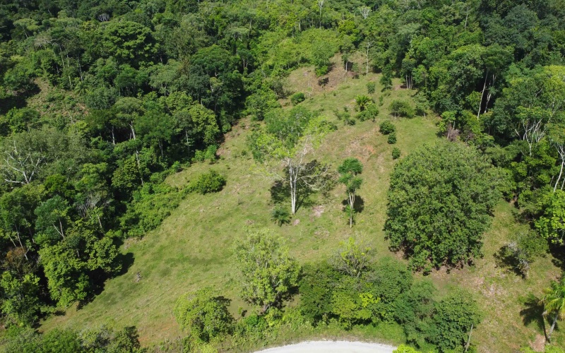 Cuervito land for sale, Pavones real estate, Costa Rica mountain view lot, Altos del Bosque, Pilon surf property, jungle land Costa Rica, buildable lot Pavones, Southern Zone Costa Rica real estate, ocean and mountain lot, off-grid Costa Rica
