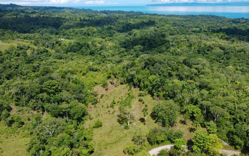 Cuervito land for sale, Pavones real estate, Costa Rica mountain view lot, Altos del Bosque, Pilon surf property, jungle land Costa Rica, buildable lot Pavones, Southern Zone Costa Rica real estate, ocean and mountain lot, off-grid Costa Rica
