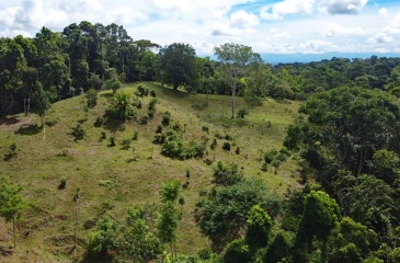 Cuervito land for sale, Pavones real estate, Costa Rica mountain view lot, Altos del Bosque, Pilon surf property, jungle land Costa Rica, buildable lot Pavones, Southern Zone Costa Rica real estate, ocean and mountain lot, off-grid Costa Rica
