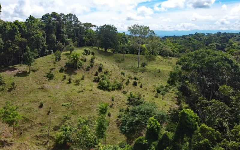 Cuervito land for sale, Pavones real estate, Costa Rica mountain view lot, Altos del Bosque, Pilon surf property, jungle land Costa Rica, buildable lot Pavones, Southern Zone Costa Rica real estate, ocean and mountain lot, off-grid Costa Rica
