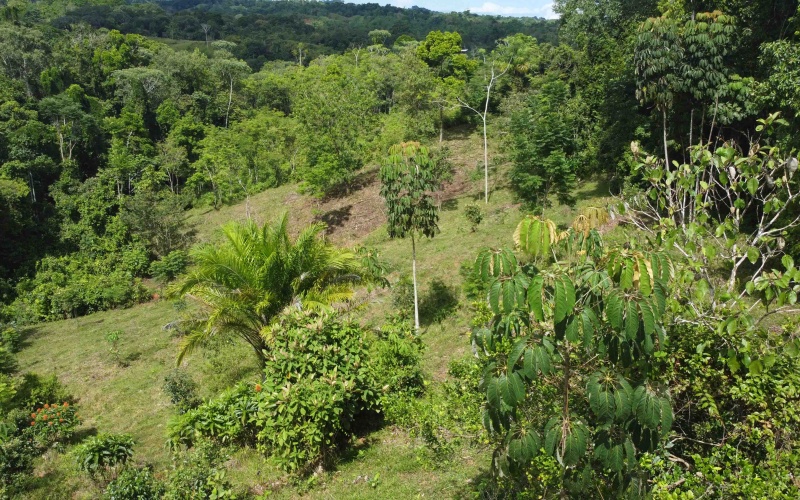 Cuervito land for sale, Pavones real estate, Costa Rica mountain view lot, Altos del Bosque, Pilon surf property, jungle land Costa Rica, buildable lot Pavones, Southern Zone Costa Rica real estate, ocean and mountain lot, off-grid Costa Rica
