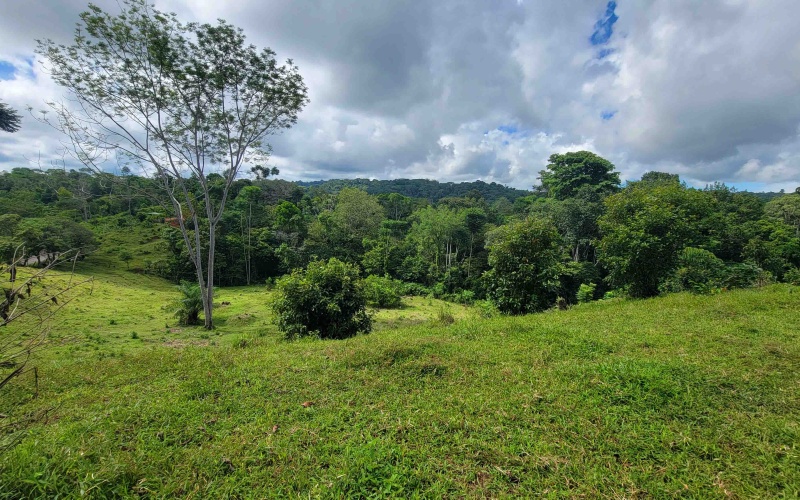 Cuervito Pavones land for sale, Rio Cuervito property, surf real estate Costa Rica, jungle lot Pavones, rural land Costa Rica