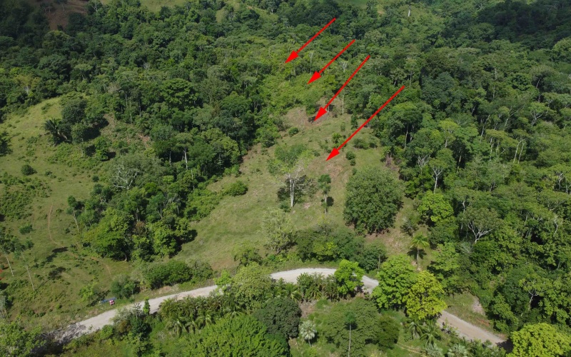 Cuervito Pavones land for sale, Rio Cuervito property, surf real estate Costa Rica, jungle lot Pavones, rural land Costa Rica