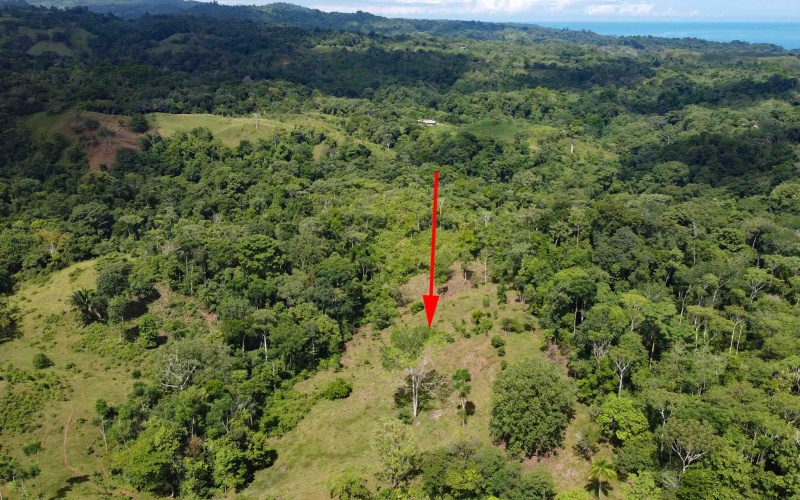 Cuervito Pavones land for sale, Rio Cuervito property, surf real estate Costa Rica, jungle lot Pavones, rural land Costa Rica