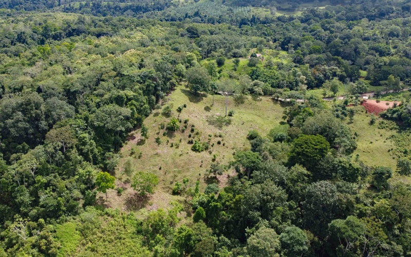 Cuervito Pavones land for sale, Rio Cuervito property, surf real estate Costa Rica, jungle lot Pavones, rural land Costa Rica