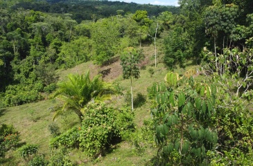 Cuervito Pavones land for sale, Rio Cuervito property, surf real estate Costa Rica, jungle lot Pavones, rural land Costa Rica