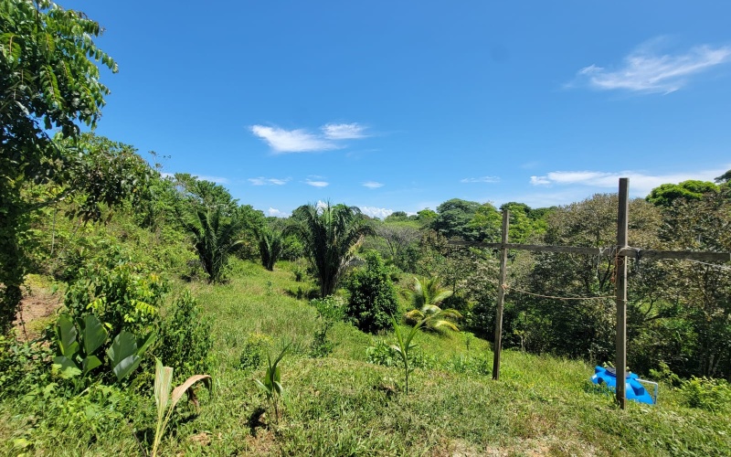 New Construction, For Rent, Pavones Point, Peacful, Solar Powered, Off-Grid