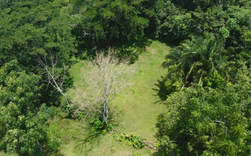 Costa Rica real estate, Pavones property for sale, Pilón Point lot, Pavones surf property, titled land Costa Rica, beachfront lot Pavones, Costa Rica surf real estate, Pavones homesites, Golfo Dulce property, Southern Costa Rica land for sale
