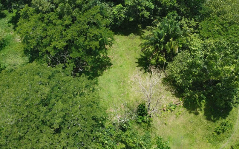 Costa Rica real estate, Pavones property for sale, Pilón Point lot, Pavones surf property, titled land Costa Rica, beachfront lot Pavones, Costa Rica surf real estate, Pavones homesites, Golfo Dulce property, Southern Costa Rica land for sale
