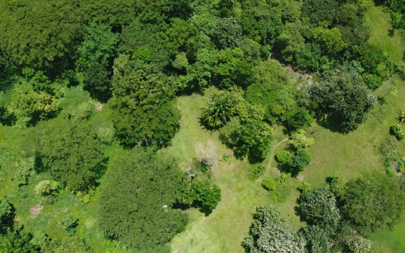 Costa Rica real estate, Pavones property for sale, Pilón Point lot, Pavones surf property, titled land Costa Rica, beachfront lot Pavones, Costa Rica surf real estate, Pavones homesites, Golfo Dulce property, Southern Costa Rica land for sale
