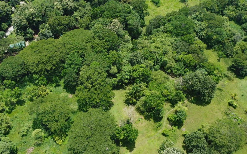 Costa Rica real estate, Pavones property for sale, Pilón Point lot, Pavones surf property, titled land Costa Rica, beachfront lot Pavones, Costa Rica surf real estate, Pavones homesites, Golfo Dulce property, Southern Costa Rica land for sale
