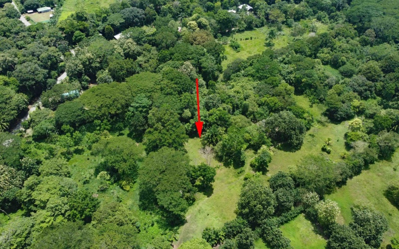 Costa Rica real estate, Pavones property for sale, Pilón Point lot, Pavones surf property, titled land Costa Rica, beachfront lot Pavones, Costa Rica surf real estate, Pavones homesites, Golfo Dulce property, Southern Costa Rica land for sale

