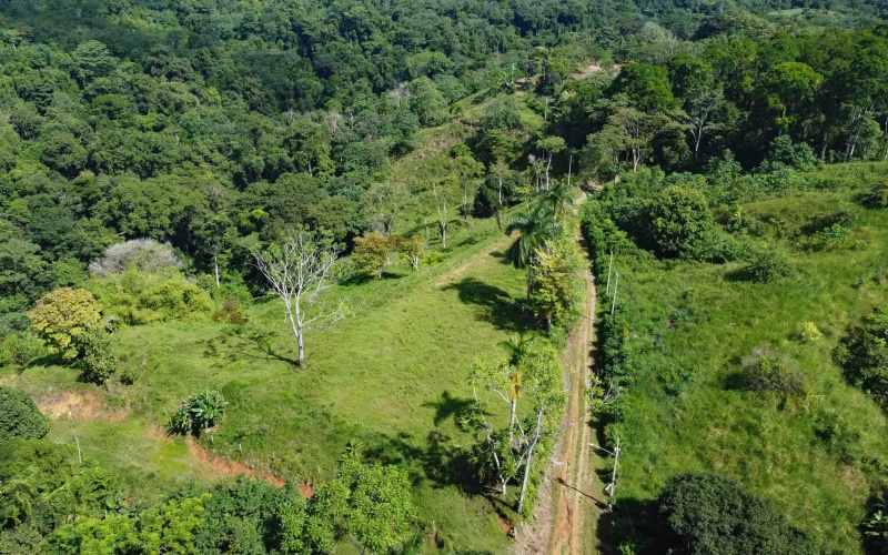 Cuervito land for sale, Pavones ocean view property, Golfo Dulce real estate, Costa Rica estate lot, Pilón beach nearby, Pavones mountain land, Land for sale, Costa Rica