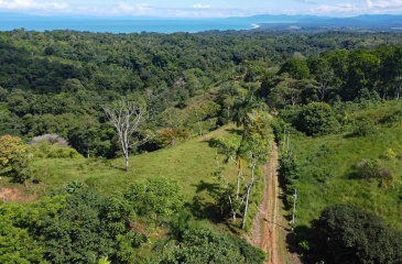 Cuervito land for sale, Pavones ocean view property, Golfo Dulce real estate, Costa Rica estate lot, Pilón beach nearby, Pavones mountain land, Land for sale, Costa Rica