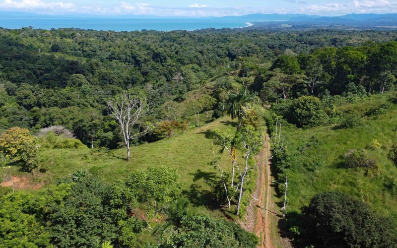 Cuervito land for sale, Pavones ocean view property, Golfo Dulce real estate, Costa Rica estate lot, Pilón beach nearby, Pavones mountain land, Land for sale, Costa Rica