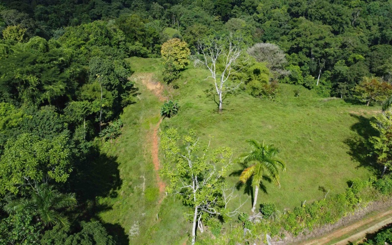 Cuervito land for sale, Pavones ocean view property, Golfo Dulce real estate, Costa Rica estate lot, Pilón beach nearby, Pavones mountain land, Land for sale, Costa Rica