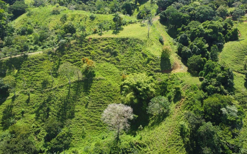 Cuervito land for sale, Pavones ocean view property, Golfo Dulce real estate, Costa Rica estate lot, Pilón beach nearby, Pavones mountain land, Land for sale, Costa Rica