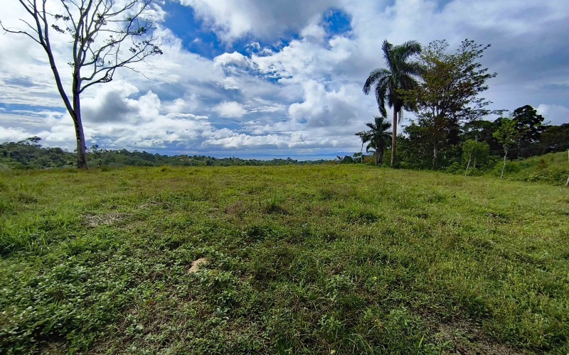 Cuervito land for sale, Pavones ocean view property, Golfo Dulce real estate, Costa Rica estate lot, Pilón beach nearby, Pavones mountain land, Land for sale, Costa Rica