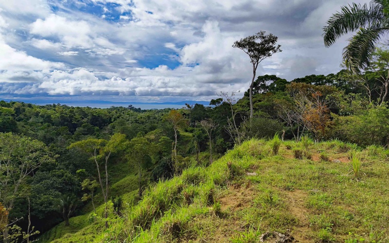 Cuervito land for sale, Pavones ocean view property, Golfo Dulce real estate, Costa Rica estate lot, Pilón beach nearby, Pavones mountain land, Land for sale, Costa Rica