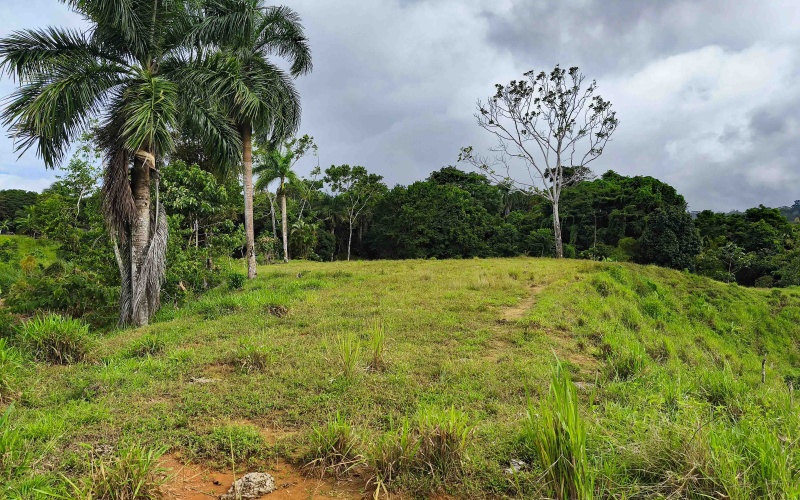 Cuervito land for sale, Pavones ocean view property, Golfo Dulce real estate, Costa Rica estate lot, Pilón beach nearby, Pavones mountain land, Land for sale, Costa Rica