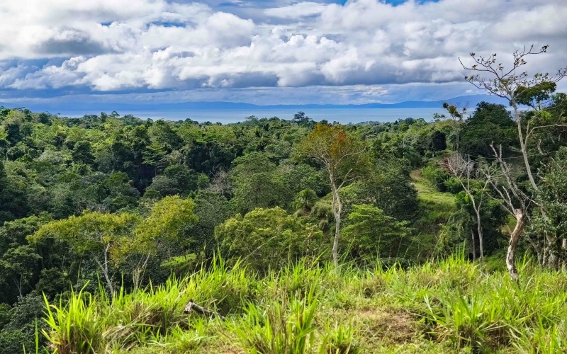 Cuervito land for sale, Pavones ocean view property, Golfo Dulce real estate, Costa Rica estate lot, Pilón beach nearby, Pavones mountain land, Land for sale, Costa Rica