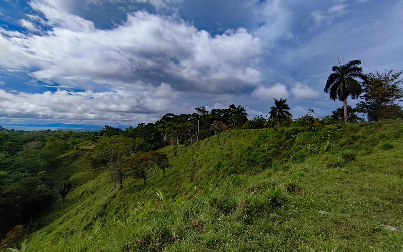 Cuervito land for sale, Pavones ocean view property, Golfo Dulce real estate, Costa Rica estate lot, Pilón beach nearby, Pavones mountain land, Land for sale, Costa Rica
