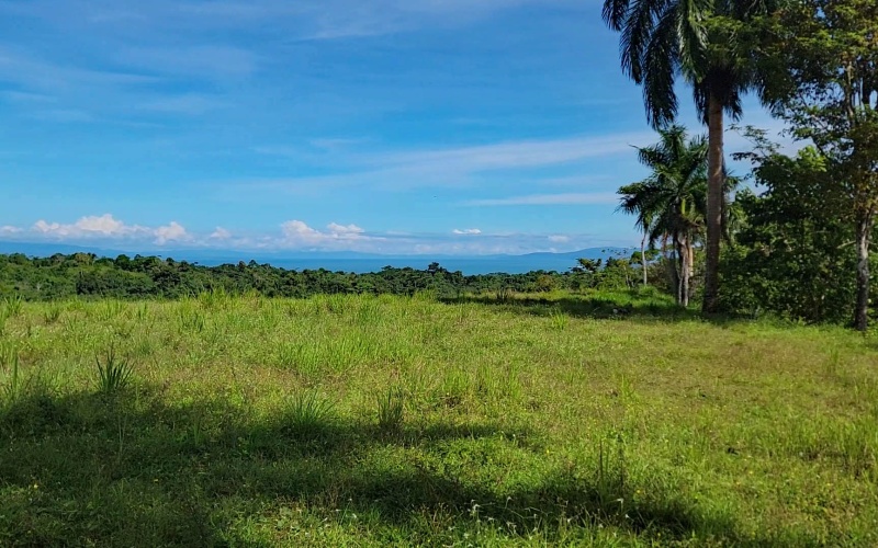 Cuervito land for sale, Pavones ocean view property, Golfo Dulce real estate, Costa Rica estate lot, Pilón beach nearby, Pavones mountain land, Land for sale, Costa Rica