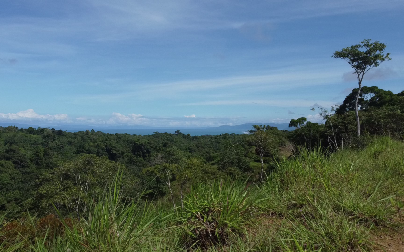 Cuervito land for sale, Pavones ocean view property, Golfo Dulce real estate, Costa Rica estate lot, Pilón beach nearby, Pavones mountain land, Land for sale, Costa Rica
