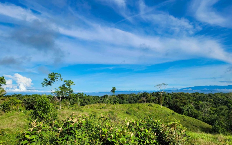 Cuervito Costa Rica real estate, Pavones land for sale, Pilon property for sale, ocean view estate Costa Rica, farm for sale Pavones, Rio Cuervito land, Pavones mountain view, Pavones surf property, Golfo Dulce real estate, Pavones development land