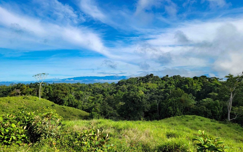 Cuervito Costa Rica real estate, Pavones land for sale, Pilon property for sale, ocean view estate Costa Rica, farm for sale Pavones, Rio Cuervito land, Pavones mountain view, Pavones surf property, Golfo Dulce real estate, Pavones development land