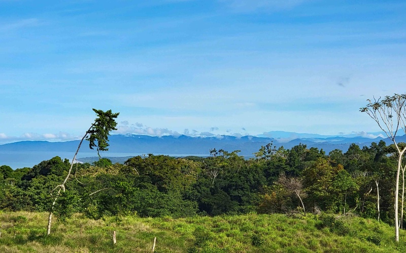 Cuervito Costa Rica real estate, Pavones land for sale, Pilon property for sale, ocean view estate Costa Rica, farm for sale Pavones, Rio Cuervito land, Pavones mountain view, Pavones surf property, Golfo Dulce real estate, Pavones development land