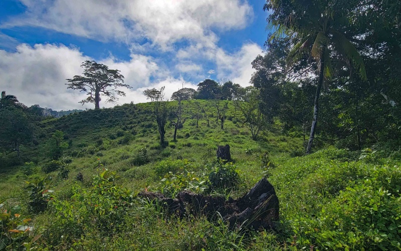 Cuervito Costa Rica real estate, Pavones land for sale, Pilon property for sale, ocean view estate Costa Rica, farm for sale Pavones, Rio Cuervito land, Pavones mountain view, Pavones surf property, Golfo Dulce real estate, Pavones development land