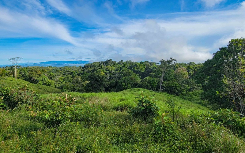 Cuervito Costa Rica real estate, Pavones land for sale, Pilon property for sale, ocean view estate Costa Rica, farm for sale Pavones, Rio Cuervito land, Pavones mountain view, Pavones surf property, Golfo Dulce real estate, Pavones development land