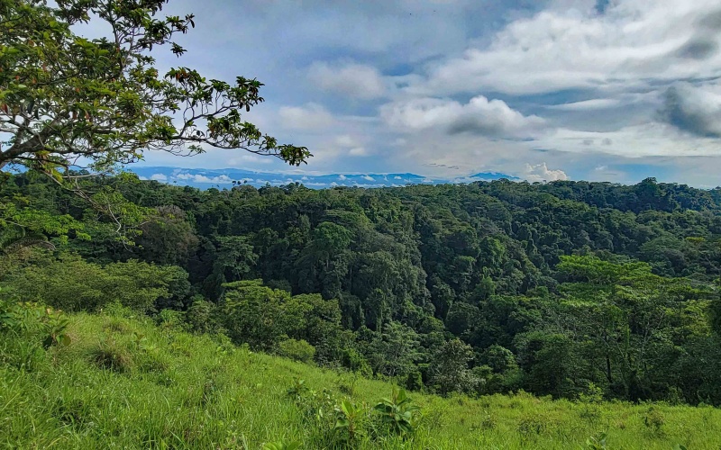 Cuervito Costa Rica real estate, Pavones land for sale, Pilon property for sale, ocean view estate Costa Rica, farm for sale Pavones, Rio Cuervito land, Pavones mountain view, Pavones surf property, Golfo Dulce real estate, Pavones development land
