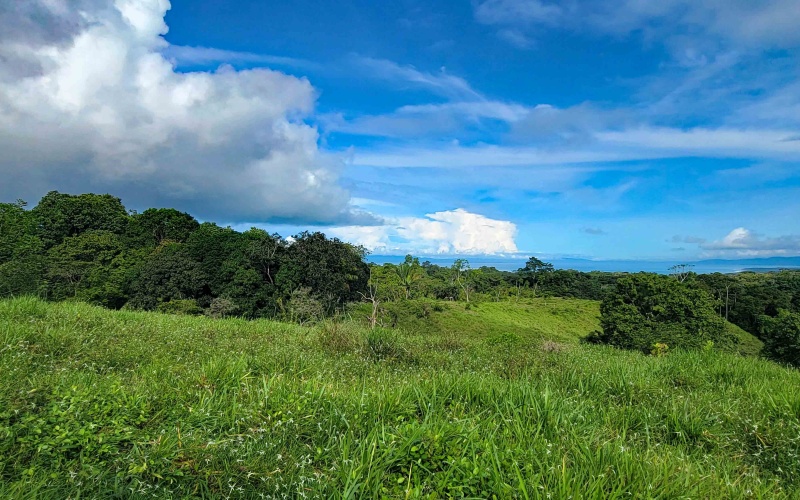 Cuervito Costa Rica real estate, Pavones land for sale, Pilon property for sale, ocean view estate Costa Rica, farm for sale Pavones, Rio Cuervito land, Pavones mountain view, Pavones surf property, Golfo Dulce real estate, Pavones development land