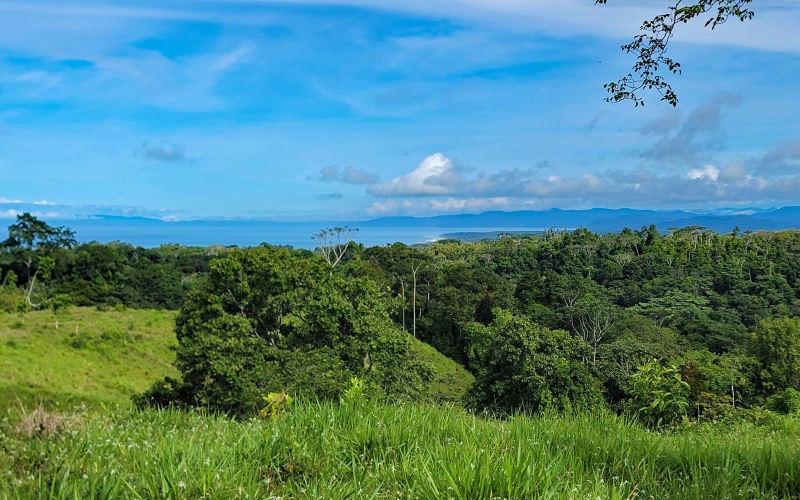 Cuervito Costa Rica real estate, Pavones land for sale, Pilon property for sale, ocean view estate Costa Rica, farm for sale Pavones, Rio Cuervito land, Pavones mountain view, Pavones surf property, Golfo Dulce real estate, Pavones development land