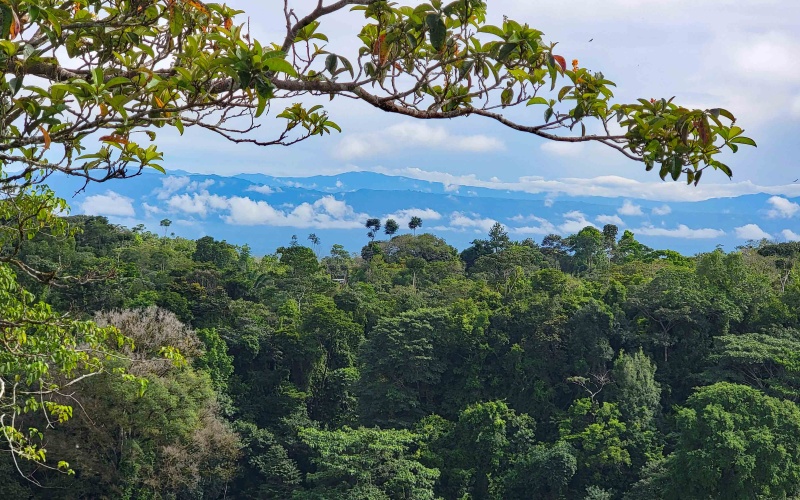 Cuervito Costa Rica real estate, Pavones land for sale, Pilon property for sale, ocean view estate Costa Rica, farm for sale Pavones, Rio Cuervito land, Pavones mountain view, Pavones surf property, Golfo Dulce real estate, Pavones development land