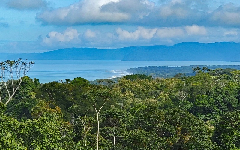 Cuervito Costa Rica real estate, Pavones land for sale, Pilon property for sale, ocean view estate Costa Rica, farm for sale Pavones, Rio Cuervito land, Pavones mountain view, Pavones surf property, Golfo Dulce real estate, Pavones development land