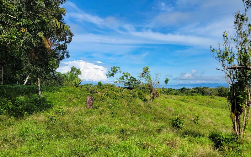 Cuervito Costa Rica real estate, Pavones land for sale, Pilon property for sale, ocean view estate Costa Rica, farm for sale Pavones, Rio Cuervito land, Pavones mountain view, Pavones surf property, Golfo Dulce real estate, Pavones development land