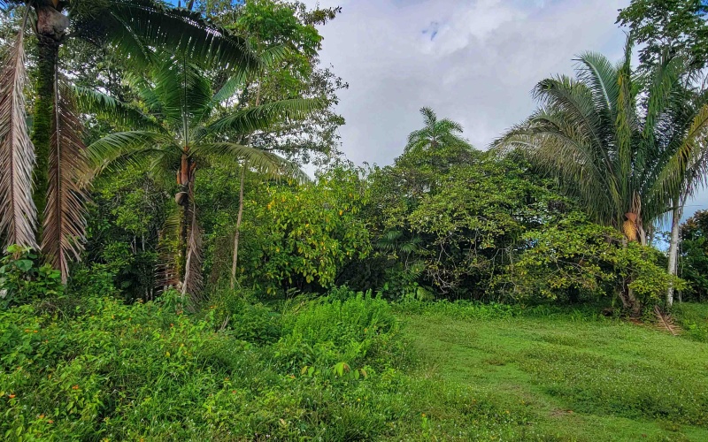 Cuervito Costa Rica real estate, Pavones land for sale, Pilon property for sale, ocean view estate Costa Rica, farm for sale Pavones, Rio Cuervito land, Pavones mountain view, Pavones surf property, Golfo Dulce real estate, Pavones development land
