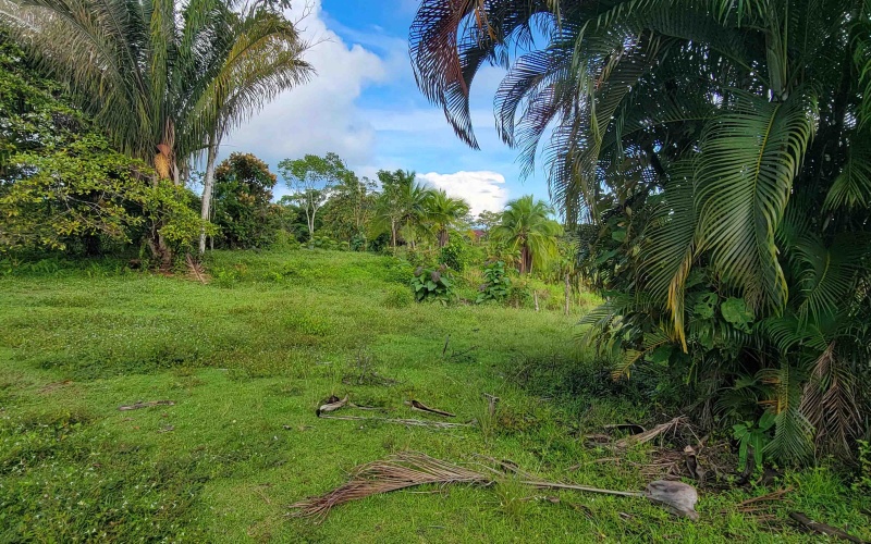 Cuervito Costa Rica real estate, Pavones land for sale, Pilon property for sale, ocean view estate Costa Rica, farm for sale Pavones, Rio Cuervito land, Pavones mountain view, Pavones surf property, Golfo Dulce real estate, Pavones development land
