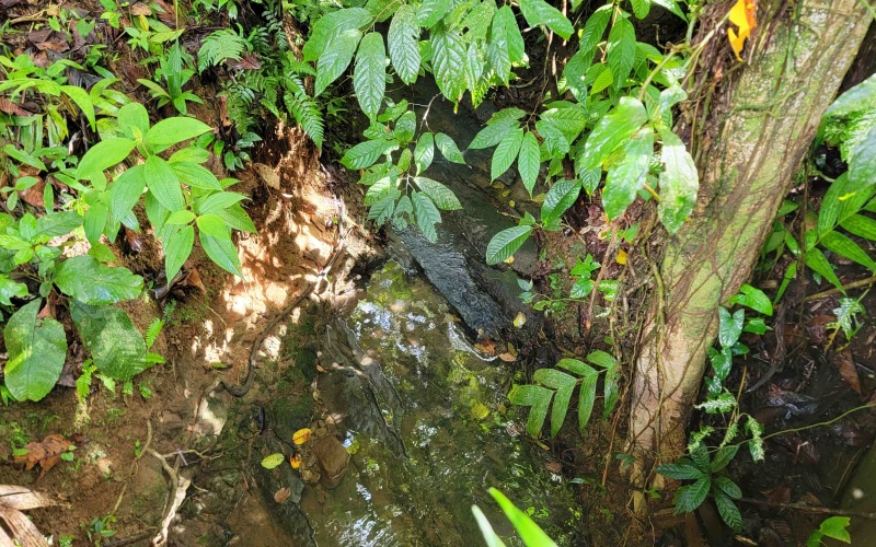 Cuervito Costa Rica real estate, Pavones land for sale, Pilon property for sale, ocean view estate Costa Rica, farm for sale Pavones, Rio Cuervito land, Pavones mountain view, Pavones surf property, Golfo Dulce real estate, Pavones development land