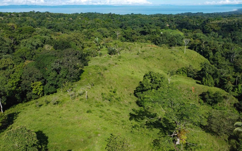 Cuervito Costa Rica real estate, Pavones land for sale, Pilon property for sale, ocean view estate Costa Rica, farm for sale Pavones, Rio Cuervito land, Pavones mountain view, Pavones surf property, Golfo Dulce real estate, Pavones development land