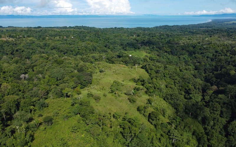 Cuervito Costa Rica real estate, Pavones land for sale, Pilon property for sale, ocean view estate Costa Rica, farm for sale Pavones, Rio Cuervito land, Pavones mountain view, Pavones surf property, Golfo Dulce real estate, Pavones development land