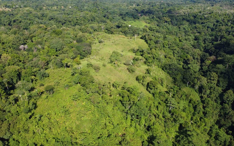 Cuervito Costa Rica real estate, Pavones land for sale, Pilon property for sale, ocean view estate Costa Rica, farm for sale Pavones, Rio Cuervito land, Pavones mountain view, Pavones surf property, Golfo Dulce real estate, Pavones development land
